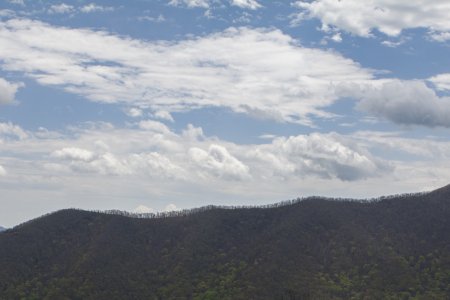 Over zulke smalle bergkammen loopt de Blue Ridge Parkway